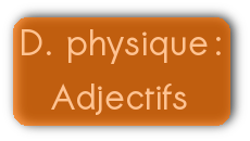 Description physique: adjectifs